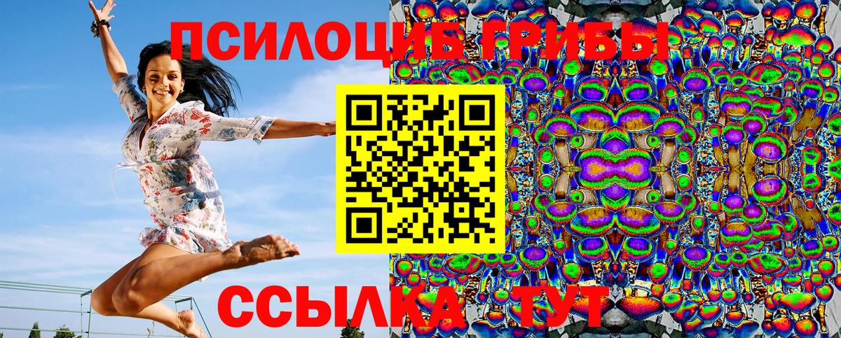 Галлюциногенные грибы MAGIC MUSHROOMS  Вход с VPN  Владимир 
