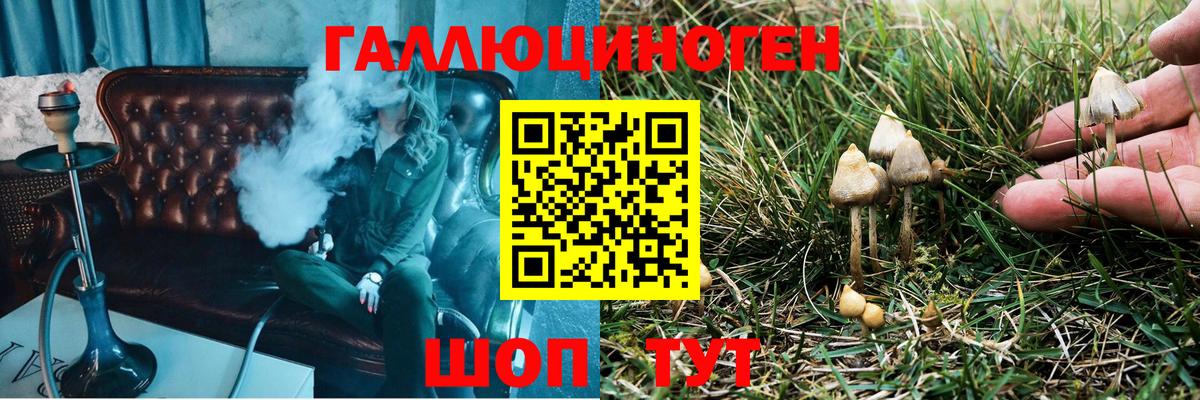 Псилоцибиновые грибы прущие грибы Владимир